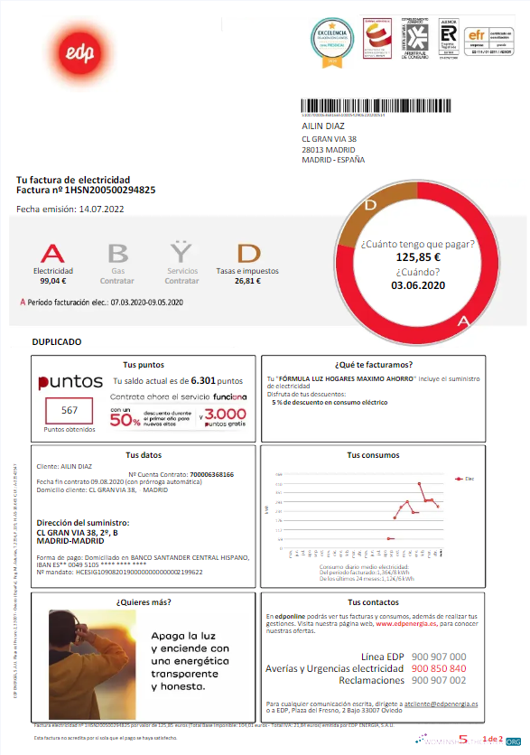download download SPAIN EDP utility bill template, version 2